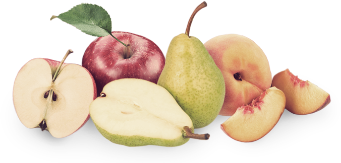 Fruita Blanch