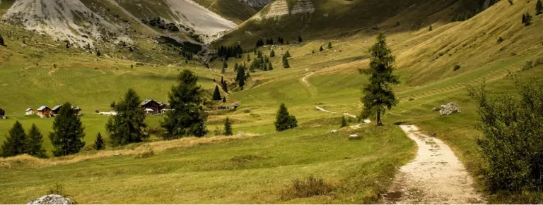 Ajudem a recuperar itineraris de muntanya, per entendre el Pirineu sobre el terreny