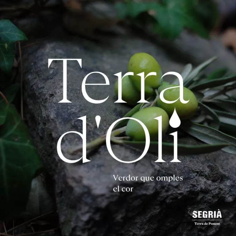 El Centre d'Interpretació Pedra Seca participa en les activitats de Terra d'Oli