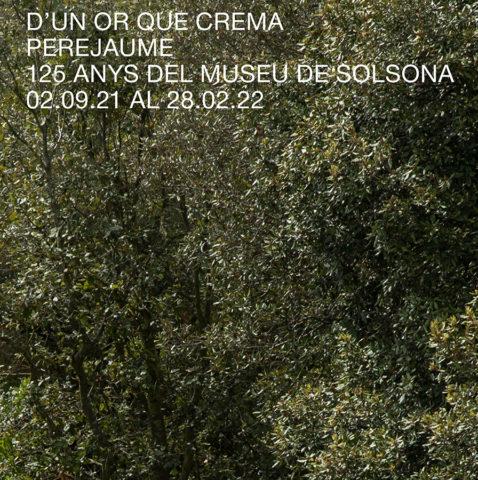 L'artista Perejaume arriba al Museu de Solsona