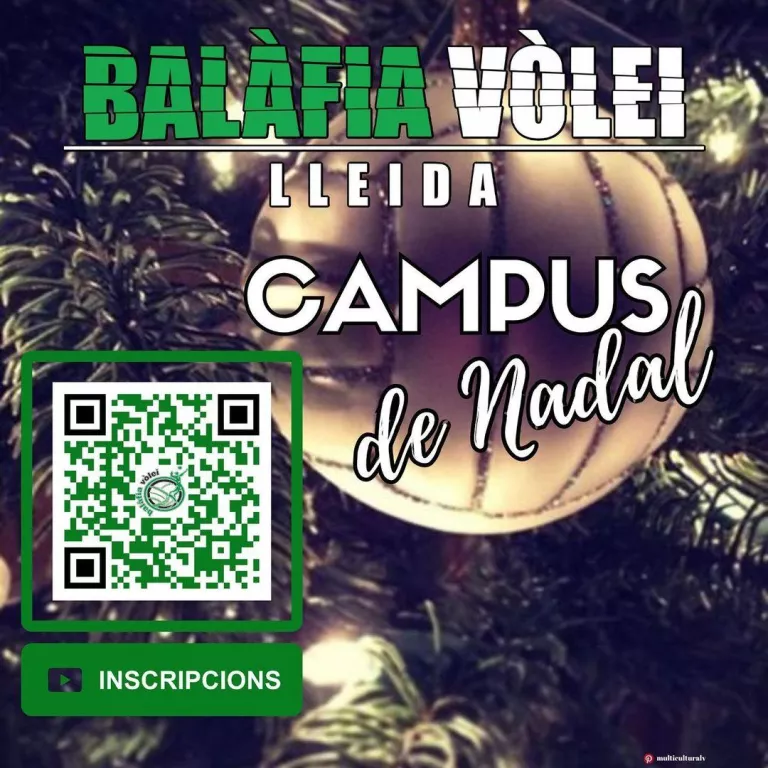 Balàfia Vòlei Lleida