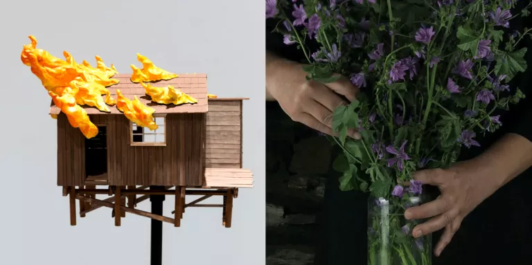 La Panera obra la convocatòria de les beques Art i Natura a la Creació 2020