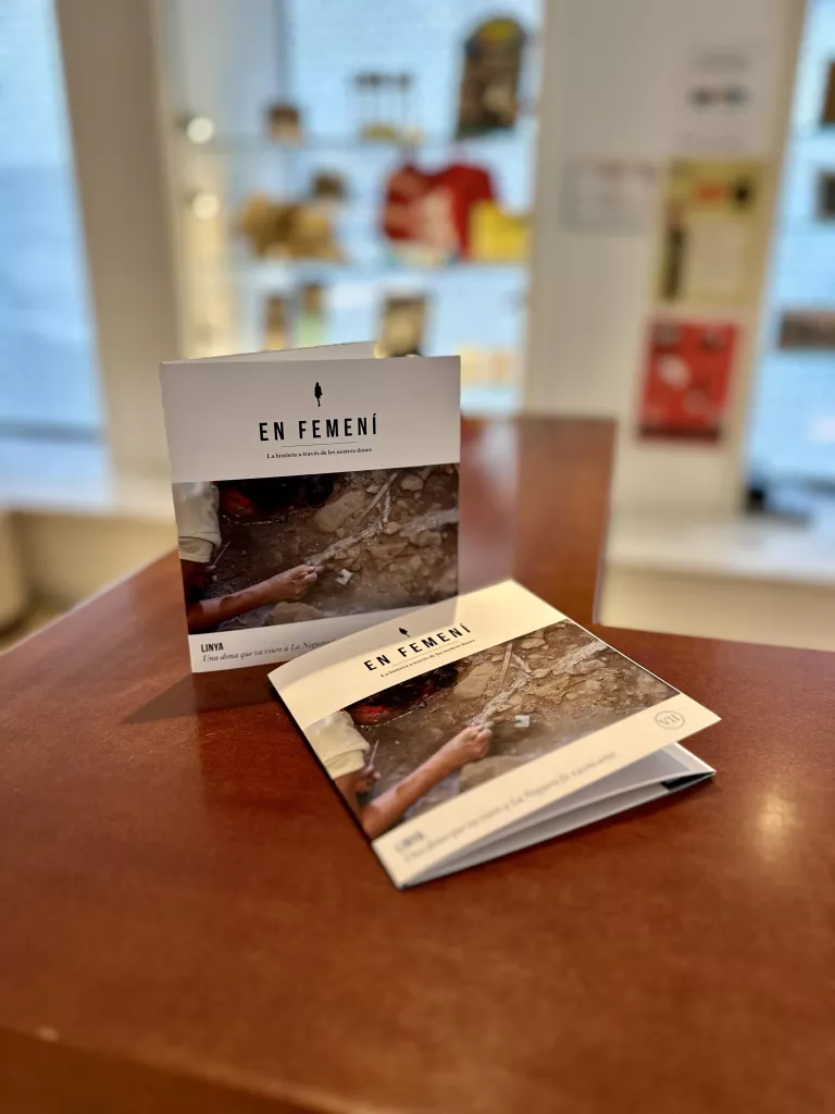 Fitxa de la publicació ‘En femení’ ©Paeria de Balaguer