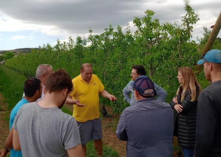 Visita als camps d’Alcoletge, afectats per la pedregada de diumenge ©Junts a la Vegueria de les Terres de Lleida