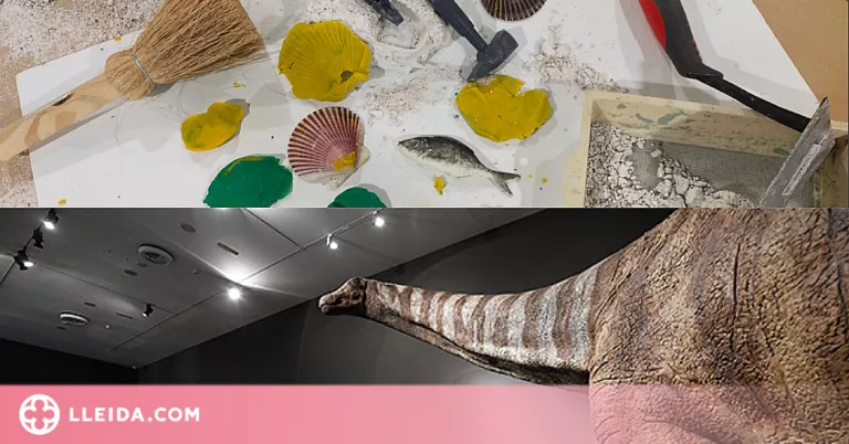 El Museu de Lleida celebra Nadal