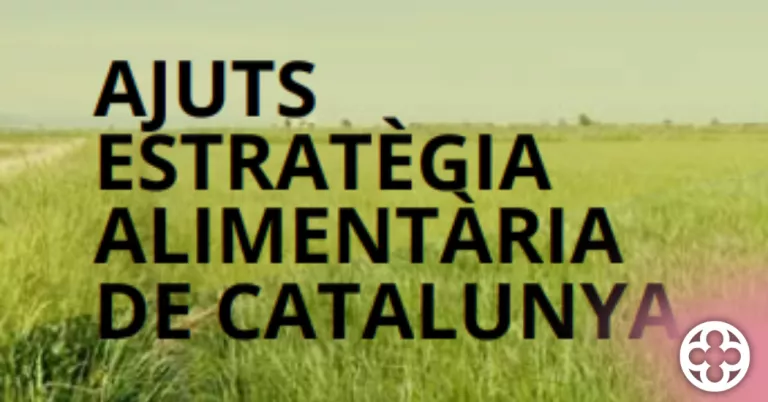 Cartell promocional de les 10 línies d'ajuts ©Cambra de Comerç de Lleida