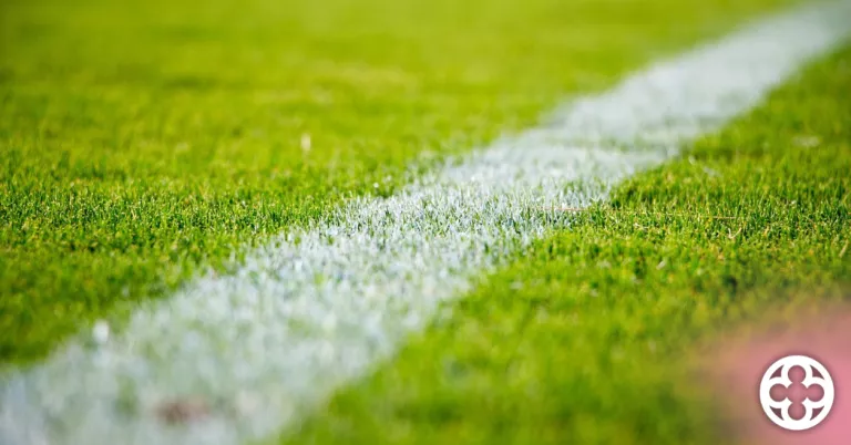 Imatge d'arxiu camp de futbol ©Pixabay