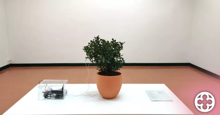 Harmonies vegetals. Inhibicions i diàlegs multiespècies ©Centre d'Art la Panera de Lleida