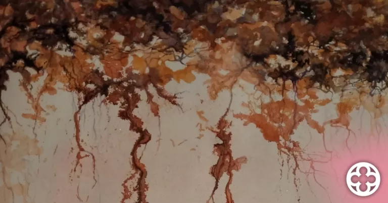 Exposició de l’artista Eulàlia Espasa: “Cal.ligrafies de terra endins”