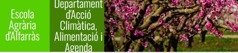 Nous Cursos i Jornades pel curs 2025