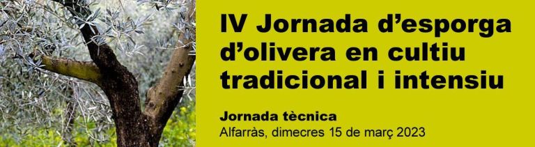 lV Jornada d’esporga d’olivera en cultiu tradicional i intensiu