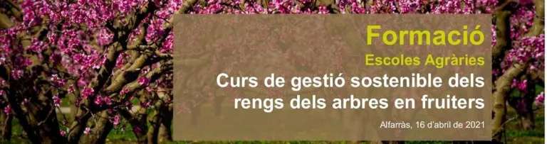 Curs sobre gestió sostenible dels rengs dels arbres en fruiters.