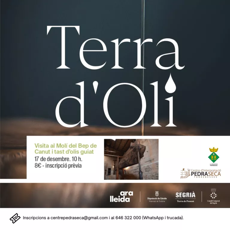 Visita al Molí d'en Bep del Canut i tast d'olis guiat el diumenge 17 de desembre