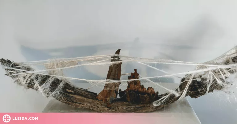 El Centre de l’oli de la Granadella inaugura l’exposició de l’artista Palmira Rius: “Fusta. El llegat dels arbres”