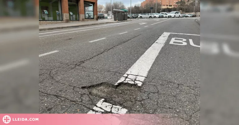 manteniment del carrer Rosa Parks