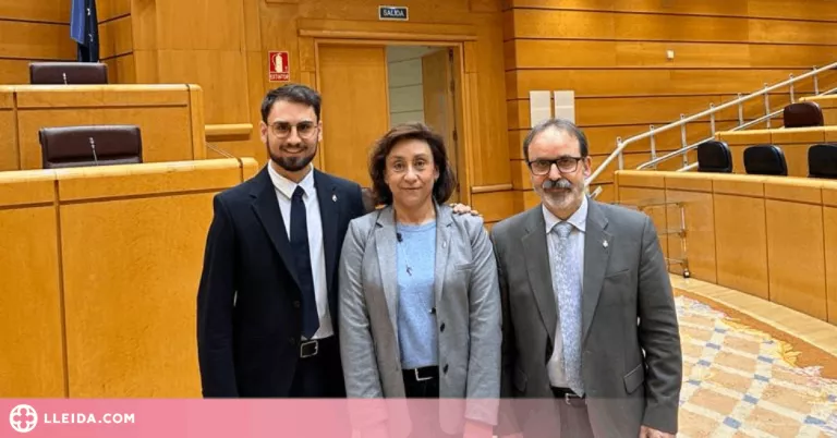 Els diputats, diputades, senadors i senadores de Lleida, presents a 15 comissions legislatives