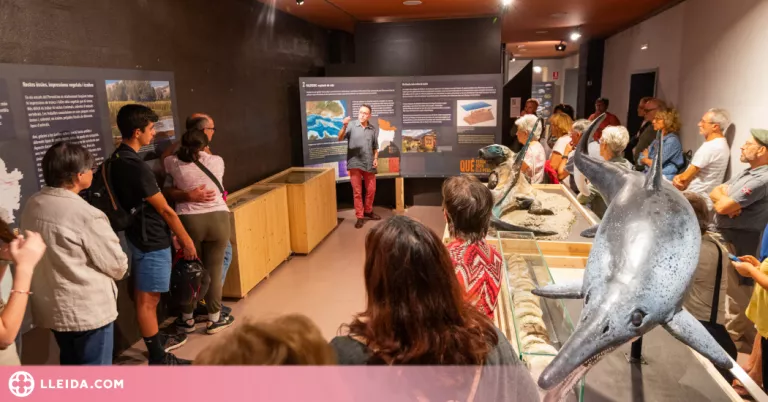 El Museu de Cervera acull un viatge de 550 milions d’anys per conèixer la diversitat geològica i  biològica de Ponent i el Pirineu