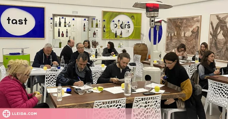 Club de tast d’oli