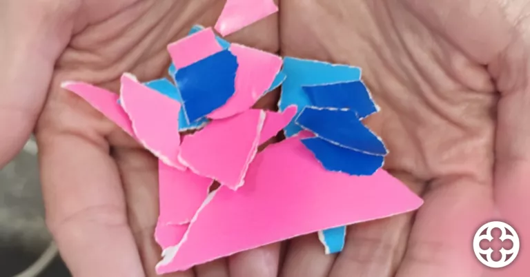Entre el rosa i la Blau