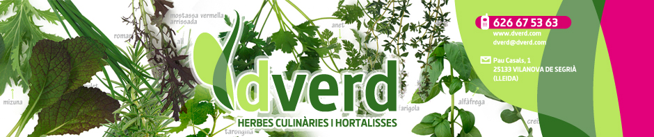 DVERD Herbes aromàtiques i culinàries